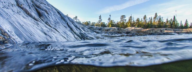 Foto: Niklas Jonasson/Unsplash