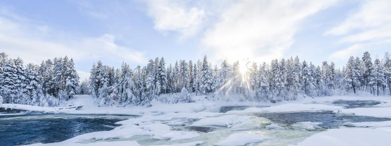 Foto: Niklas Jonasson/Unsplash