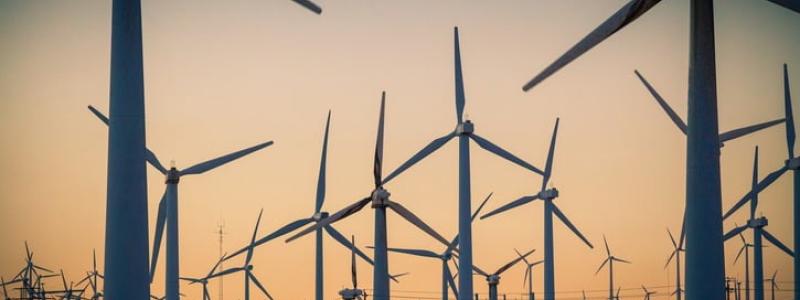 En tät "skog" av vindkraftsverk i USA. Kanske något för finsk-ryska gränsen? Symbolbild. Foto: North American Windpower