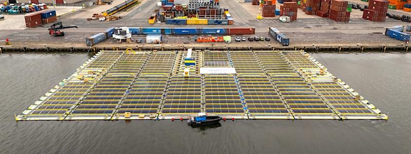 Oceans of Energys havsbaserade solpark ”Nymphaea Aurora”. Foto: OOE