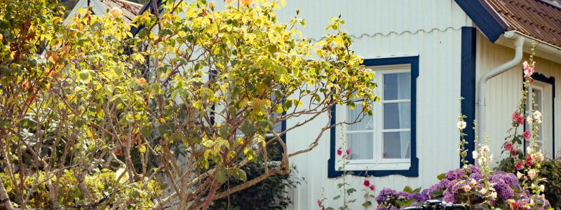 Småhus. Foto: Patrick Federi / Unsplash