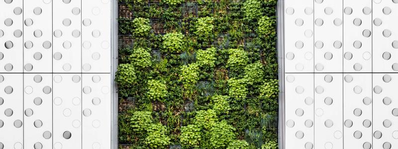 Foto: Pawel Czerwinski / Unsplash