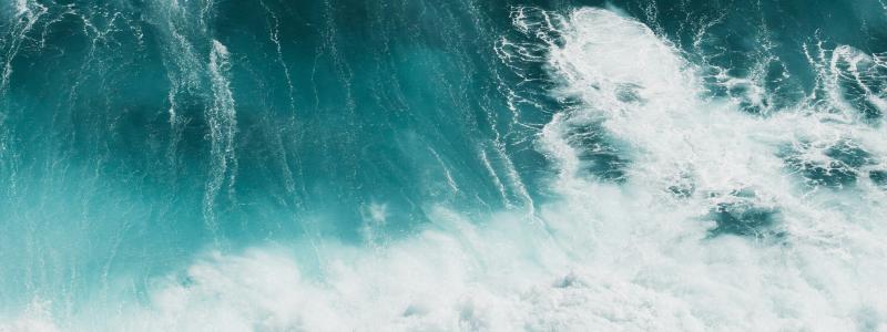 Foto: Polina Kuzovkova / Unsplash
