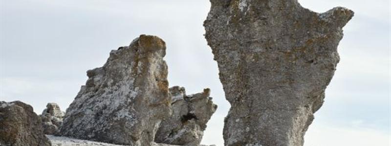 Raukar Gotland. Pressbild: Vattenfall