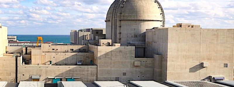 Kärnkraftverket Saeul i Sydkorea byggs med standardiserad reaktordesign och väntas leverera mer än tio terawattimmar el per år. Foto: KHNP