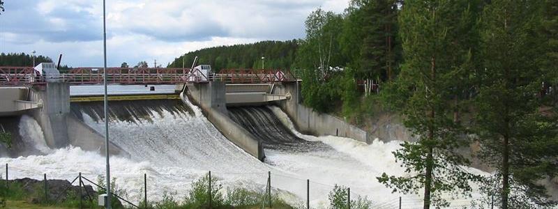 Foto: Jenny Fahlgren