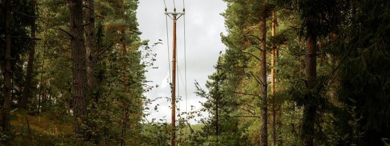 Elstolpe i Vaxholm, nord-öst om Stockholm. Foto: Joylynn Goh /Unsplash