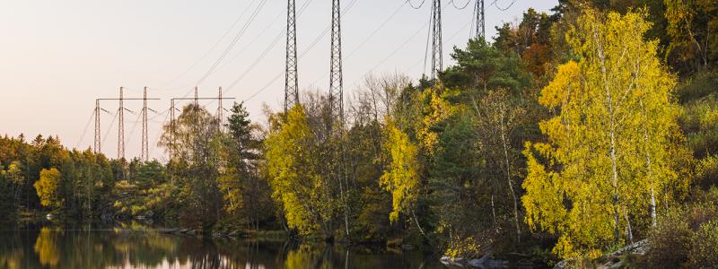 Den nya ledningen som ska byggas mellan Nybro och Hemsjö i sydöstra Sverige kommer att dras parallellt med den befintliga.  Foto: Mikael Svensson/Johnér