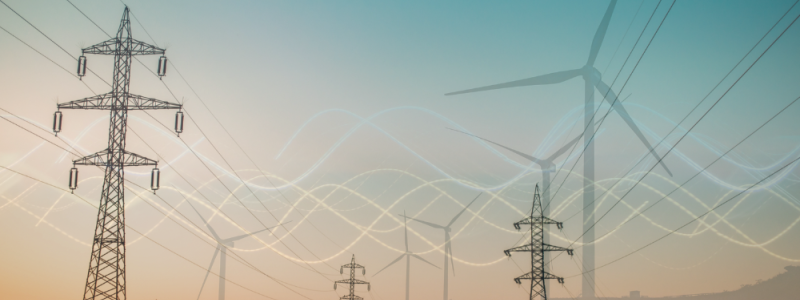 Foto: Sustainable Innovation