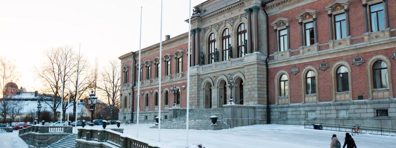 Sedan flera decennier tillbaka har Uppsala universitet deltagit i europeiska forskningsprojekt med fokus på utvecklandet av nya solceller, och bidragit med sin kunskap om bakkontakter, ljusabsorberande material, buffertskikt, transparenta ledare och modulteknik.
Fotocred: Uppsala universitet