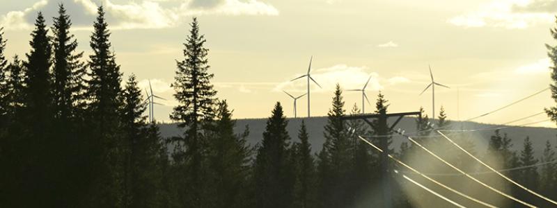 Foto: Uppvidinge kommun
