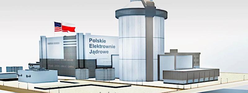 AP1000 är en tryckvattenreaktor utvecklad i USA och används även i pågående kärnkraftsprojekt i Kina och USA, där byggtider och kostnader varierat kraftigt mellan olika anläggningar. Bild: PEJ