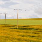 Symbolbild: Creative Commons lic.