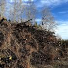 Regeringen föreslår nu en utredning kring de systemnyttor som kraft- och fjärrvärmen tillför elsystemet. Foto: Joline Ekman