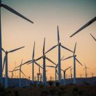 En tät "skog" av vindkraftsverk i USA. Kanske något för finsk-ryska gränsen? Symbolbild. Foto: North American Windpower