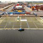 Oceans of Energys havsbaserade solpark ”Nymphaea Aurora”. Foto: OOE