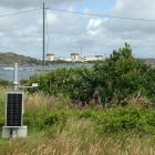 Ringhals sett från Krogstadsudde. Foto: Thomas Lohmann /Unsplash