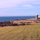 Det befintliga kärnkraftverket Wylfa i Wales håller på att avvecklas. Fisher German ska senare ge rådgivning i planeringen av SMR-reaktorer på denna plats. Projektet kan bli ett av Storbritanniens största kärnkraftsbyggen. Foto: Magnox Ltd.