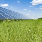 Solpark. Pressbild: Downing Renewable Developments