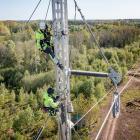 Arbetare på elledning. Pressbild: Svenska kraftnät