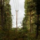 Elstolpe i Vaxholm, nord-öst om Stockholm. Foto: Joylynn Goh /Unsplash