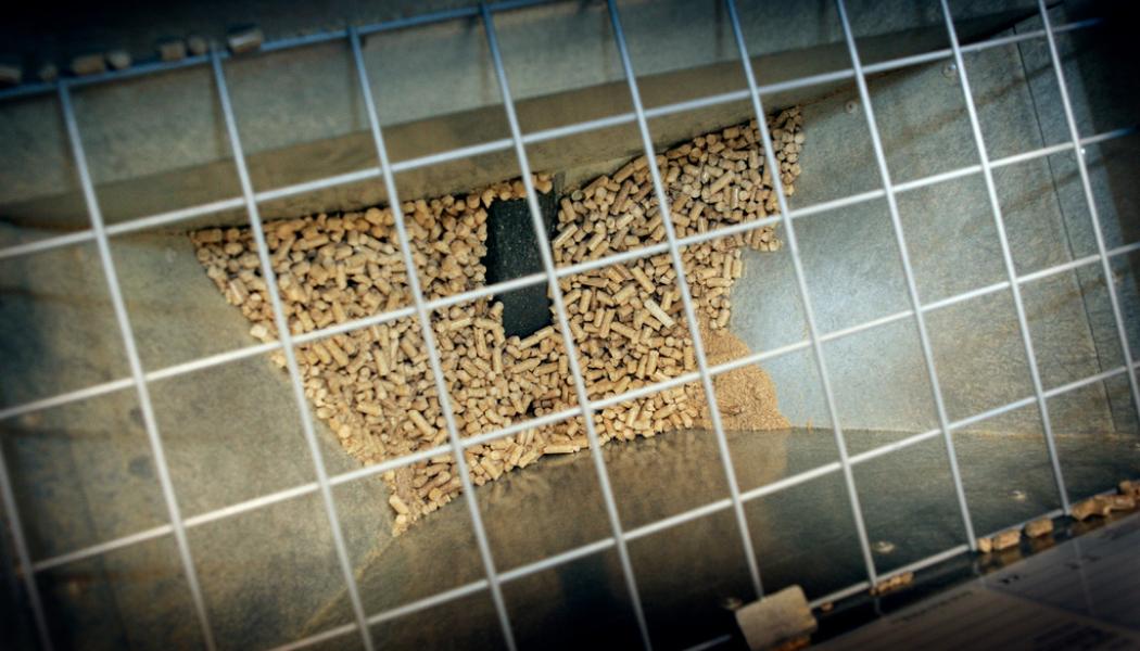 Gorm Kallestad/NTB/TT: Exporten av pellets har minskat kraftigt från stora producenter som Ryssland, Ukraina och Belarus. Arkivbild.