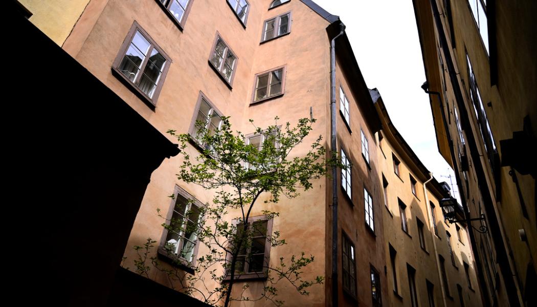 Janerik Henrsson/TT: Många bostadsrätter kommer få höjda avgifter nästa år.