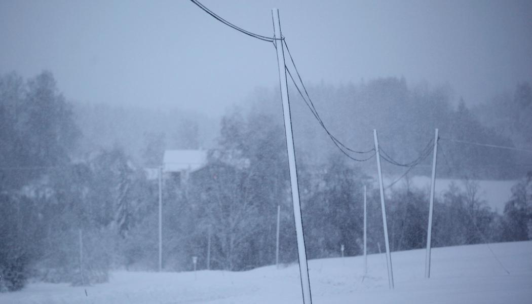 Mats Andersson/TT: Billigare elnätsavgift för Vattenfalls kunder i Norrland. Arkivbild.