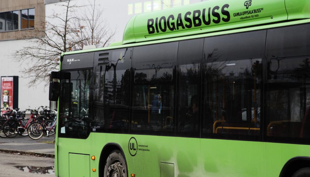 Martina Holmberg / TT: Många bussar i svensk kollektivtrafik går på biogas. Arkivbild.
