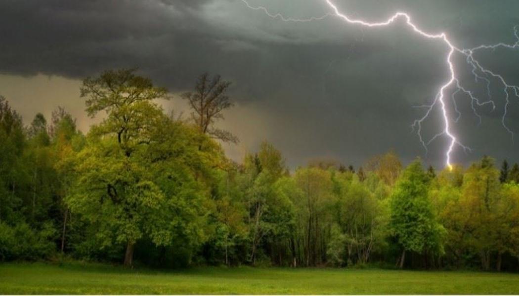Foto: Vattenfall