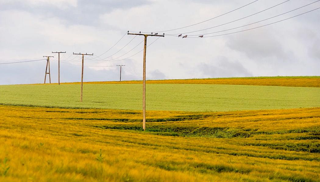 Symbolbild: Creative Commons lic.


