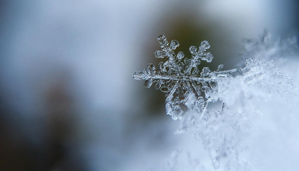 Foto: Aaron Burden/Unsplash