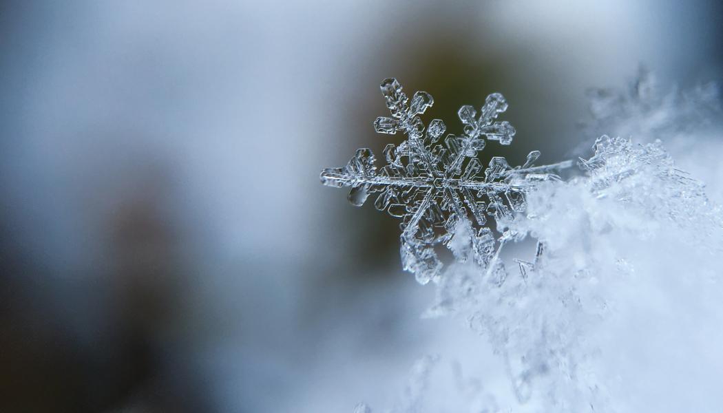 Foto: Aaron Burden/Unsplash
