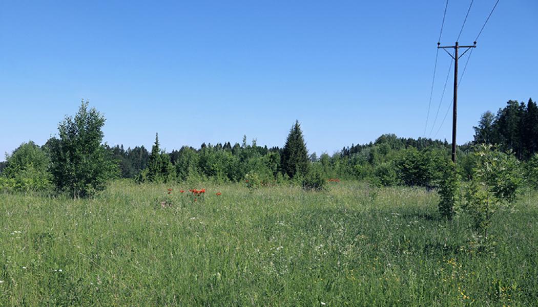 Vattenfall Eldistribución senker midlertidig tariffen for strømnettet