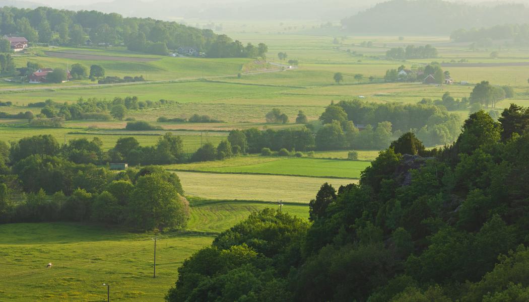 Foto: Länsstyrelsen Värmland
