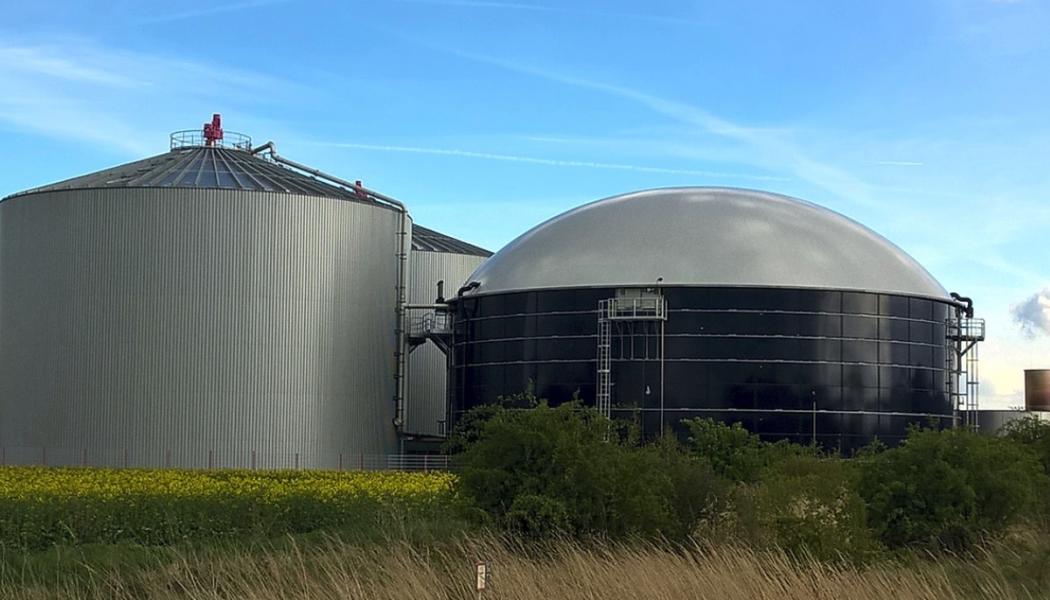 Inhemsk produktion av biodrivmedel ger Sverige ökad tillväxt och fler gröna jobb, stärkt konkurrenskraft menar BioDriv Öst. Arkivbild  