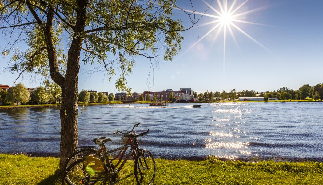 Ny solcellepark på drøyt 10 hektar i Boden