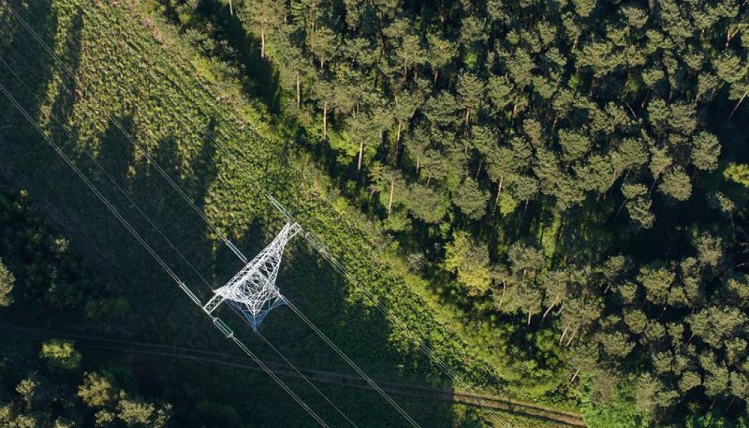 Ledningarna är avsedda att förse H2 Green Steels verksamhet med kraft. Projektet planeras att vara färdigställt senast 2025-12-31. Foto: Shutterstock/NYAB