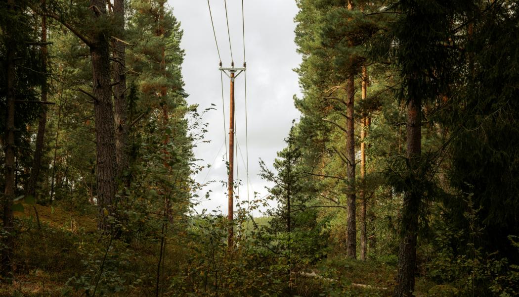 Vaxholm. Foto: Joylynn Goh/Unsplash