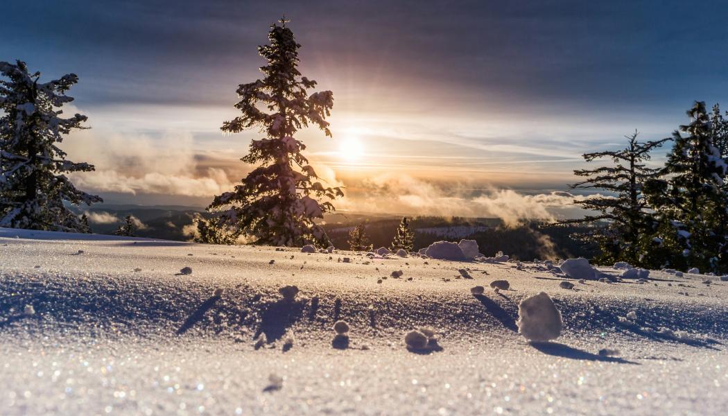 Foto: Denys Nevozhai/Unsplash