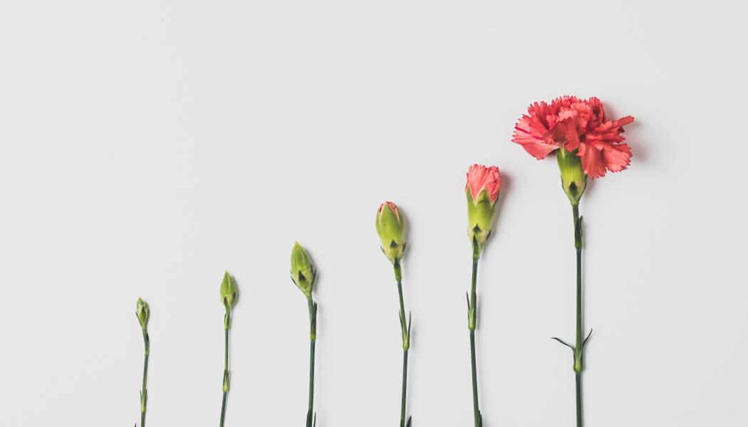 Foto: Edward Howell / Unsplash 