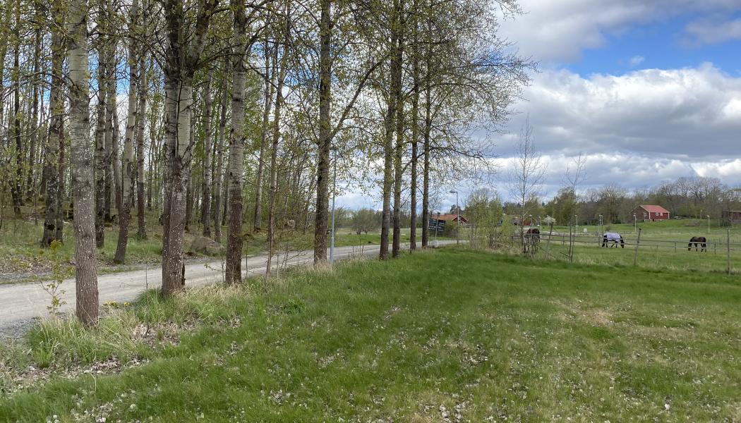 Kabelförbindelsen mellan Kronåsen och Råcksta blir cirka 10 kilometer lång. Foto: Skanska