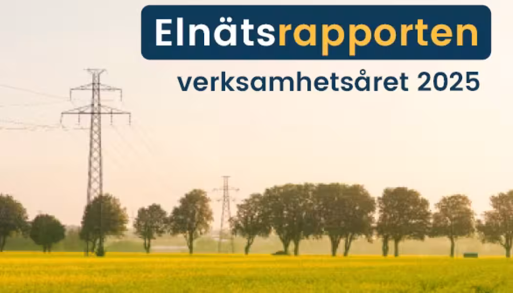 Elnätsrapporten. Pressbild: Kraftringen