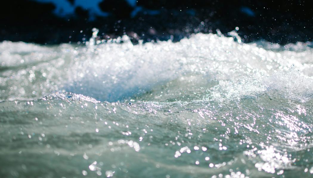 Foto:  Ezra Jeffrey-Comeau / Unsplash 
