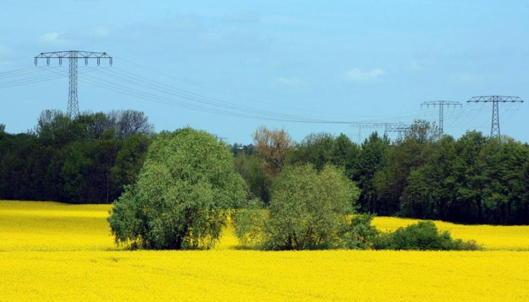  Energiföretagen Sverige tillsammans med Verian visar att allmänheten har ett starkt förtroende för det svenska elnätet. Pressbild: Energiföretagen