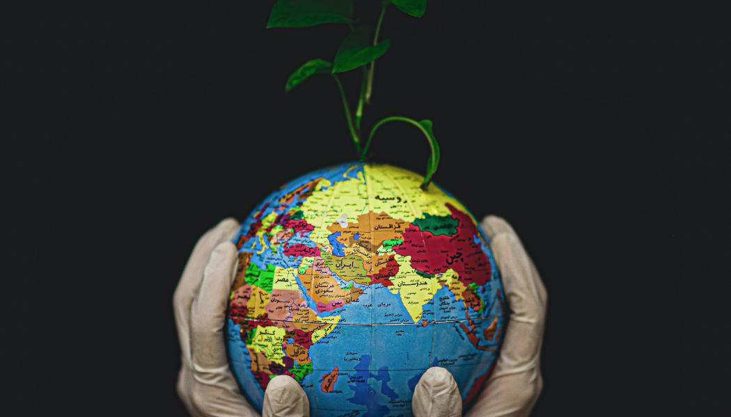 Foto:  Fateme Alaei / Unsplash