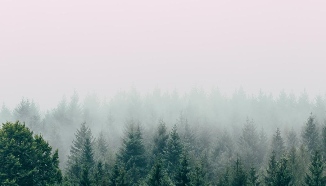 Foto: Filip Zrnzević/Unsplash