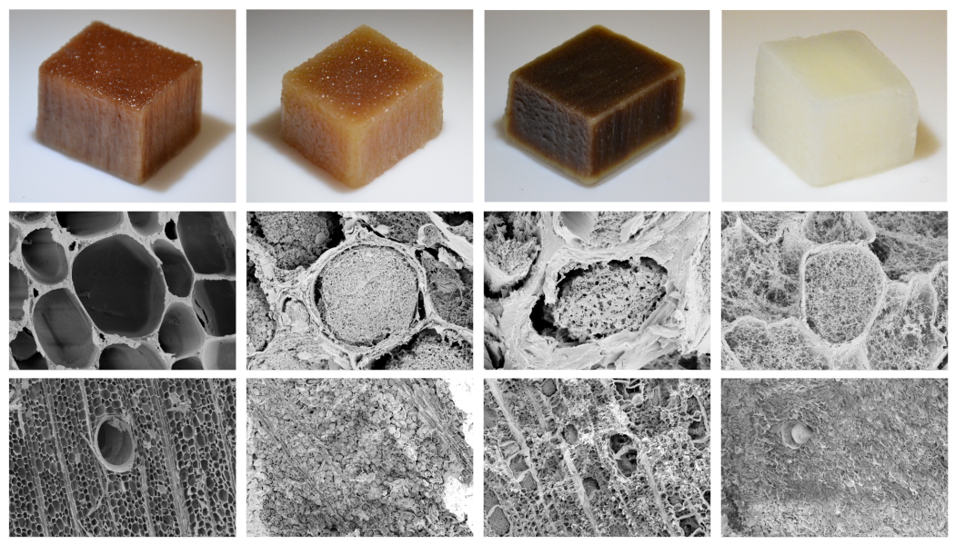 Längst till vänster ses naturligt trä. De tre träbitarna till höger har genomgått olika sorters behandling som ger högre ytarea och mindre porer, som ger snabb vattentransport genom materialet. Foto: Jonas Garemark.