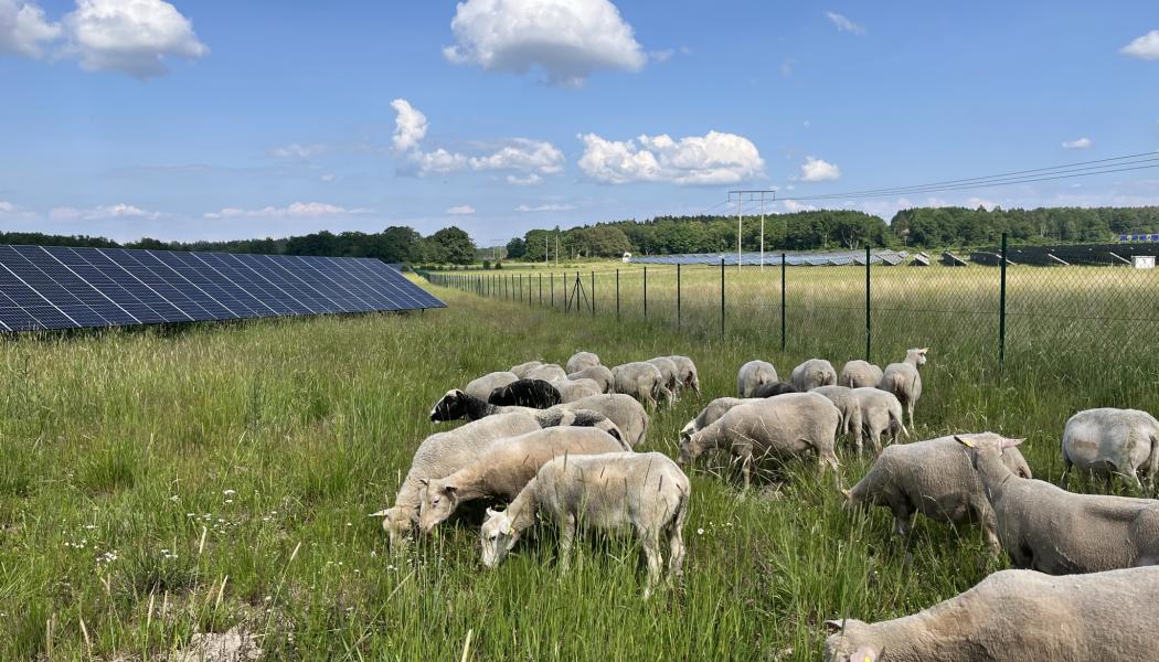 Foto: EnergiEngagemang