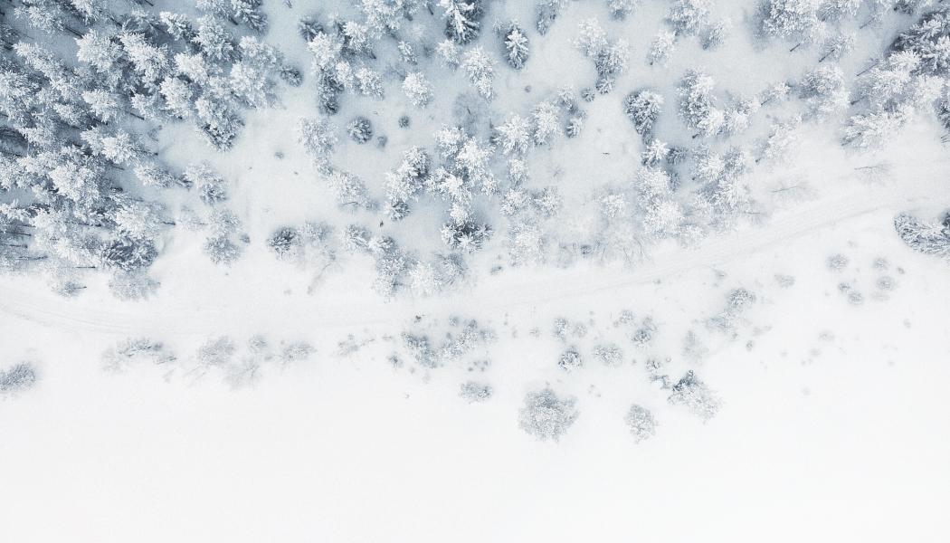 Foto: Gabriel Alenius/Unsplash